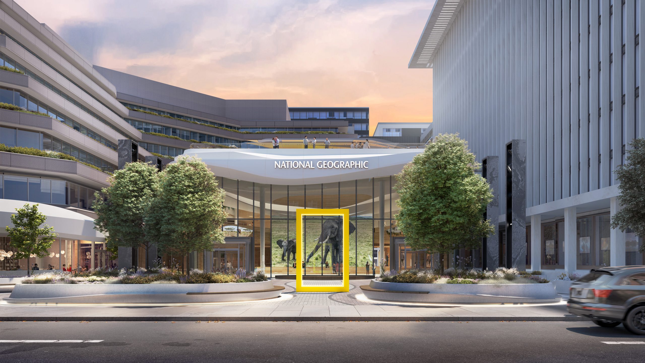 National Geographic entrance with elephant display behind glass and modern building exterior